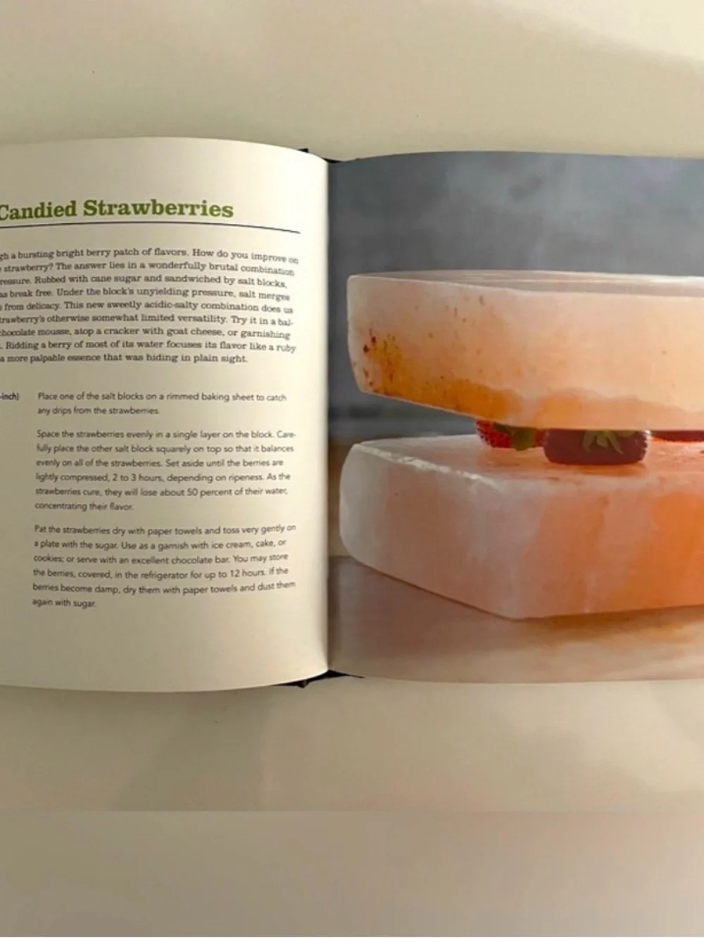 Williams-Sonoma The Salt Plate Cookbook & Salt Block Cooking.